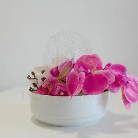 Orquidiario Center Apartment Estepona